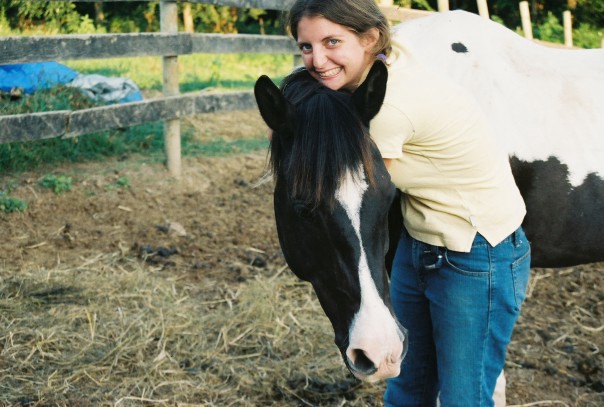 not advocating horse hugging